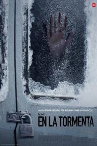 En la tormenta [Spanish]